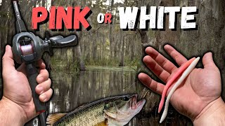 BEST BAIT for Georgia River Bass...PINK or WHITE? {15 Catches}