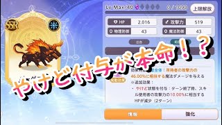 SSR【バーゲスト】の性能とコンボを検証、、、本命はどっち？　【ユグレゾ】【ユグドラレゾナンス】