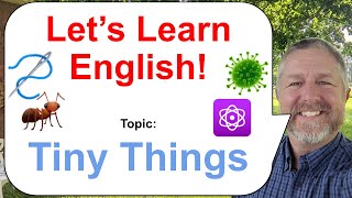 Let's Learn English! Topic: Tiny Things! 🐜🦠⚛️