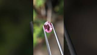 1.04กะรัต พลอยพิงค์แซฟไฟร์ ซีลอน เผาเก่า (Pink Sapphire) สีชมพูประกายส้ม ไฟดีกลบตำหนิ ประเทศศรีลังกา