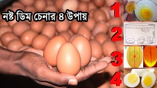 পচা ডিম চেনার ৪টি উপায় । 4 ways to identify rotten eggs