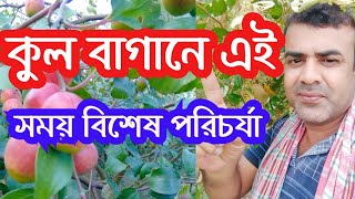 কুলের সাইজ বড় করতে ও কালার আনতে এই পরিচর্যা গুলো করতেই হবে l