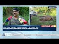 അറിഞ്ഞത് വലിയ ശബ്ദം കേട്ട് സ്ഥിരമായി ഇത്തരം അപകടങ്ങൾ പതിവെന്ന് പ്രദേശവാസികൾ elephant death