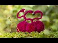 loom knitting Flamingos | DIY ARTS and CRAFTS - by lakshmi