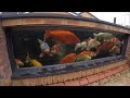 Koi Keeper Visited - Kens Pond and Garden