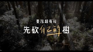 台灣超有材 先砍自己的樹