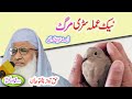 Molana Muhammad Idrees Sahib   pashto bayan نیک عملہ سڑی مرگ