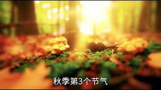 白露 - 节气系列