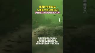 中国科学家证实，人类是从鱼进化来的！过程需要5亿年。Chinese scientists: humans evolved from fish! It takes 500 million years.