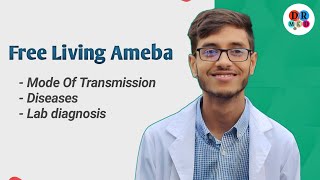 Naegleria fowleri | Acanthamoeba | Free living ameba | Microbiology bangla lecture