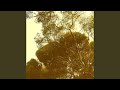 Intemperance
