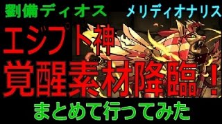 【マルチ 継承不要】エジプト神 覚醒素材降臨！ まとめて行ってみた（継承なしの編成です）