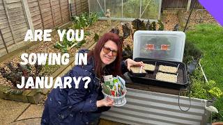 What To Sow In January - Allotment Gardening For Beginners UK