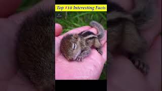 Top 10 Interesting facts | Facts' Mine