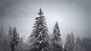 snow Winter Nature Relaxing free HD video