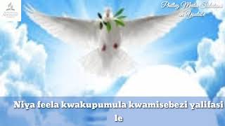 Sandala - Lizazi lakutimela (Official Audio and Lyrics Album 2021)