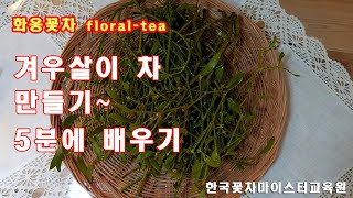 겨우살이차 만들기