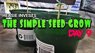 The Simple Seed Grow: Day 9 (veg) - Adding a massive fan outside the grow tent due to heat issues