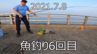 2021.7.8  金沢港大浜でサビキ釣りをしてきました。（６回目）