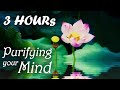 THIS MUSIC WILL PURIFY YOUR MIND ⭐ Yoji Water Purification ⭐ Buddhist Meditation Music, Buddha Music