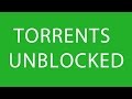 How to Unblock Torrent sites UPDATED