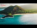 Relaxing music nature sounds (hd) video 2021 poll of the day 2021