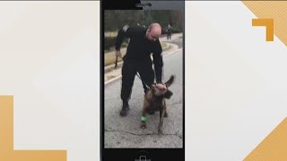 K9 Indi out of animal hospital after being shot in face