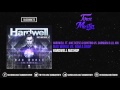 Mad World vs. Bomb a Drop (Hardwell Mashup UMF 2016)