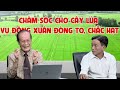 chĂm sÓc cho cÂy lÚa vỤ ĐÔng xuÂn ĐÒng to chẮc hẠt