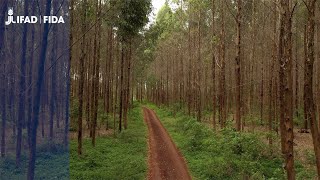 കെനിയ: കാട്ടിൽ നിന്നുള്ള ഭക്ഷണം