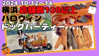 【犬イベント】横浜ハロウィンドッグパーティー🐶一年に一度の大イベント🎃#dogvlog #halloween #仮装