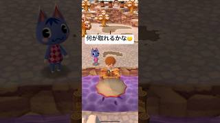 ポケ森でレア魚GETチャレンジ🔥🐟 #ポケ森 #どうぶつの森 #shorts