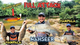 AKHIRNYA ‼️ UMPAN TOPWATER TERGACOR SUKSES TAKLUKAN MAHSEER DAN HAMPALA BESAR