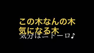 この木なんの木  逆逆再生 やってみた