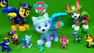 Complete Collection of Paw Patrol Toys Jumbo Pups Everest Tracker Mighty Pups Super Paws Toy Videos!