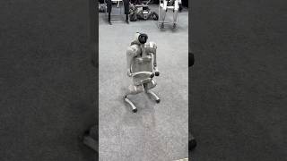 CES 2025 Unitree Go2 Robot Dog jumps \u0026 taunts guests at #CES2025 Toborlife AI #robodog #robotpet