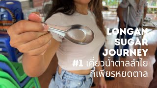 Longan sugar journey 1#เคี่ยวน้ำตาลลำไยที่เพียรหยดตาล