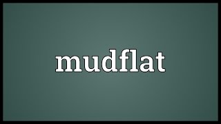 Mudflat Meaning