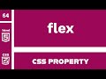 CSS Property : flex explained !