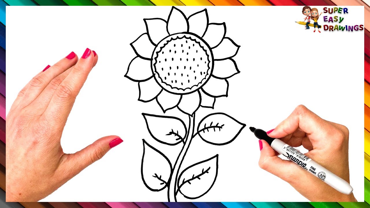 How To Draw A Sunflower Easy Step By Step Infoupdate Org