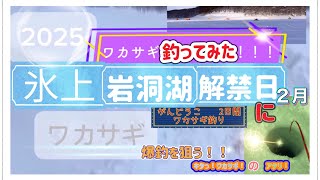 🎣☑️ワカサギ釣り氷上！岩洞湖！遂に！2025【2月】今シーズンも来た！ワカサギ釣り \