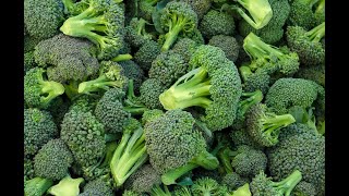 Vegetable of the Day - Broccoli