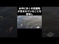 日本で最も汚い海水浴場top3 おすすめ 雑学 shorts