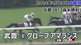 武豊①グローブアマランス(牝3) 2024年4月20日(土曜日)京都3R「3歳未勝利」芝1400M