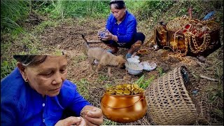 Homeless single woman: discovers secret treasure and hands it over to the state - picking cassava