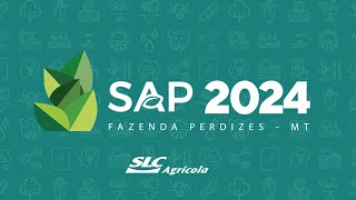 SAP 2024 Fazenda Perdizes