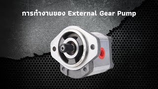 การทำงานของ external gear pump ปั๊มแบบฟันเฟืองนอก Clip105-001