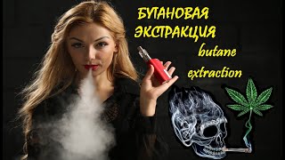 Экстракция сжиженным бутаном растительного сырья extraction with liquefied butane