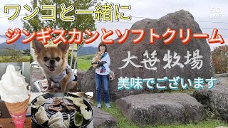 【チワワのクルミ】大笹牧場でジンギスカン😋