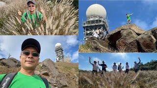 尋找大帽山芒草，易行又有靚景的行山路線￼ HK Easy hiking : Tai Mo Shan Miscanthus